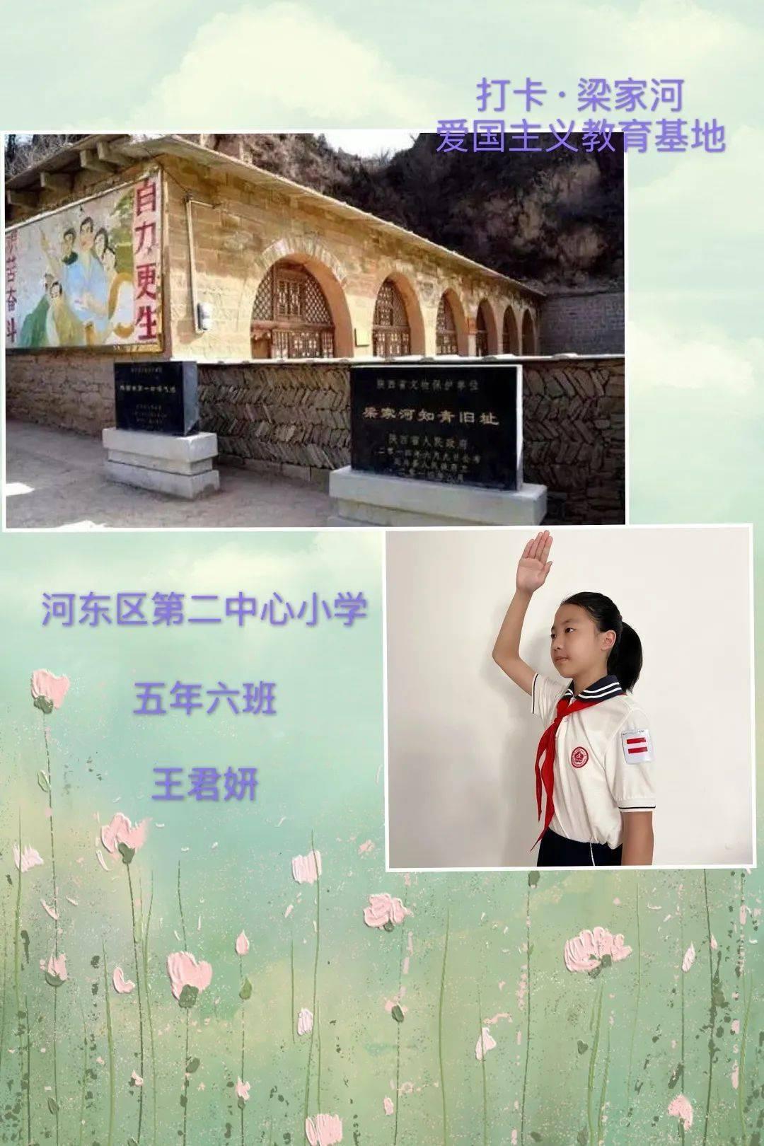 春雨直播app